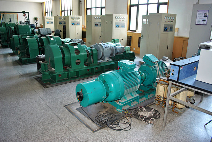 麻洋镇某热电厂使用我厂的YKK高压电机提供动力
